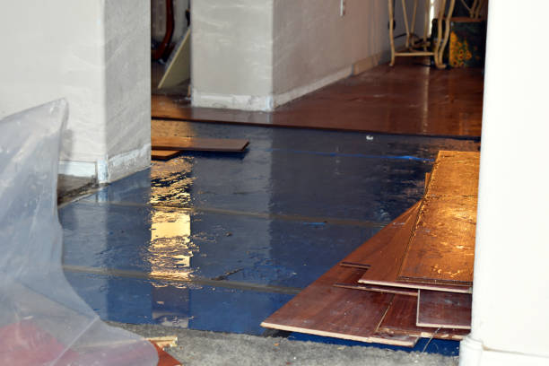 Professional Burst Pipe Cleanup technician working in Leicester, NC