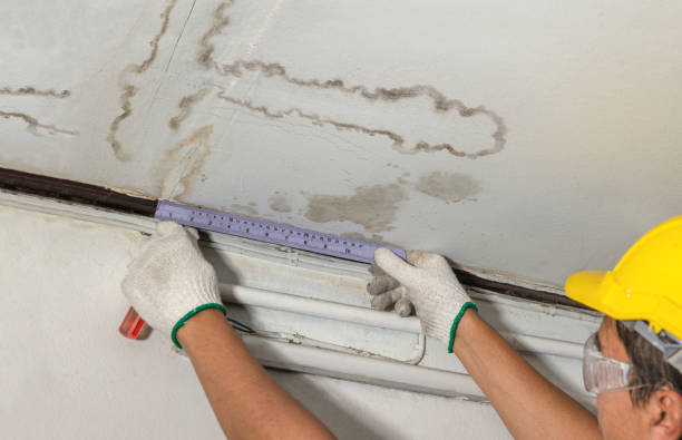 Reliable Burst Pipe Cleanup contractor in Leicester, NC by Water Damage Irwin